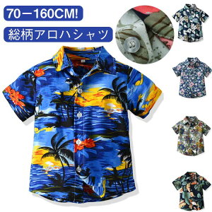  WjA q 킢  ][g qǂ  gbvX Vc  Vc j̎q AnVc ԕVc