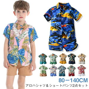 ǂ  ԕVc q ZbgAbv An ėp 2_Zbg V[gpc AnVc ㉺Zbg r[`EGA