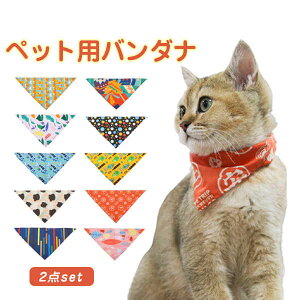   \ ybgANZT[  L lR ^ ^  悾ꂩ ybgpX^C 2Zbg X^C