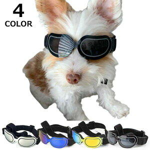 ANZT  Cxg Bep ʐ^  ߉\ p Lp ^ ^ Kl ዾ ybgp S[O TOX