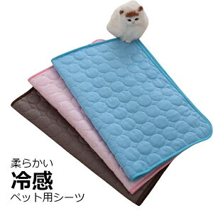  Jo[ p}bg _炩 ₽ N[ bV V[c L  ⊴ Ђ |GXe ybg}bg ⊴V[c