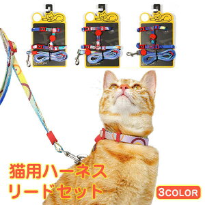 킢  hbO n[lXZbg [h ʋC ybg XvO Lbg L lR ˂ Lp   [h