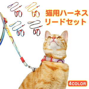  hbO n[lXZbg [h ʋC 8̎n[lX ybg XvO Lbg L lR ˂ Lp   [h