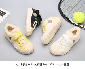 h h PU  {A j̎q ̎q }WbNe[v N {A V[Y LbYXm[V[Y LbYXj[J[ LbY