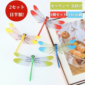 ���A�� �S���t �H�΂��� �t�B�M���A ���ɂ��� 14cm�� ������