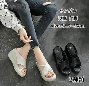  傫TCY q[ ~[ T{T_ T{  fB[X ~[ EFbW\[