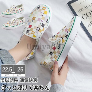  ₷ [Jbg Vv C V[Y JWA 킢  LoX y Y fB[X Xj[J[