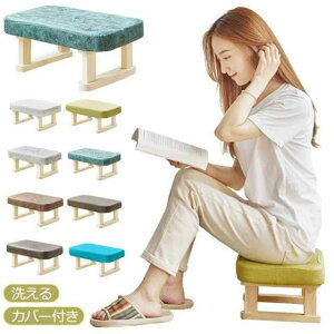 ~jXc[ tbgXg u ֎q ^ `FA [`FA ؐ V[Yւ | k  CX  ֎q