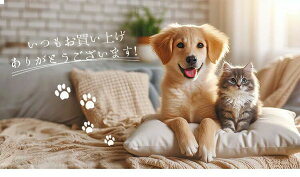 Lpxb pxbh ^ ^ 킢 NbV xbh  ybgxbh ėp I[V[Y 􂦂 ی^ xbh L