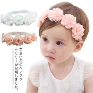 { Zj[ J`[V  V qp    wbhoh  xr[ Ԃ wAANZT[