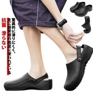 a@̐搶 傫TCY Rb ɂC TCY ȂC T_ ȂC ~[C T{V[Y