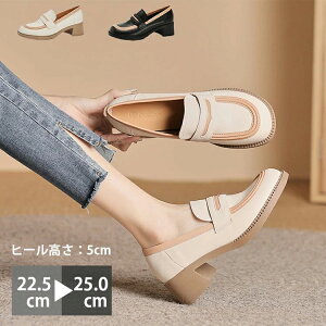 ɂ  _炩 ₷ 炭 _炩 y L R PU  q[ 5cmq[ EhgD fB[X C