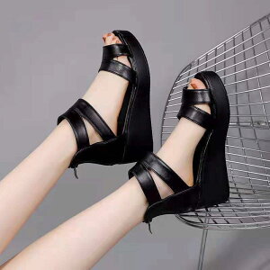 傫TCY W[g q[ Sxg S T_ t EFbW TCY s y Ȃ ₷fB[X