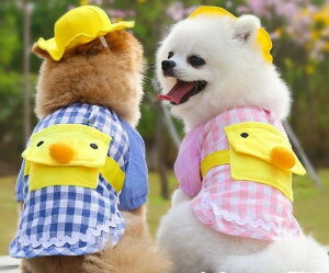  Ђ悱 Aq m  hbOEFA RXv Xqt ct RX`[ p Lp