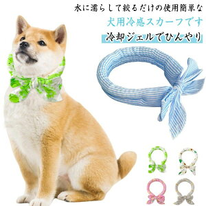 p 킢  Ђ XJ[t 4Zbg ACXlbN ΍ O Ԏ p   lbNN[[