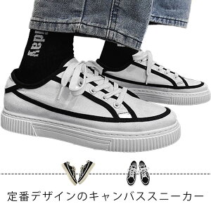 Vv WjA ʊw [Jbg C TCY y Y YV[Y Xj[J[ LoX v`v Xj[J[