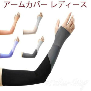 fB[X X|[cpA[Jo[ rJo[ A[X[u w|^Cv Ă~ Oh~ z ~