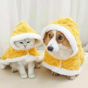 킢 L g ybg {A  L ybgJo[ uPbg hbOEFA  }g  H~ ѕz ѕz