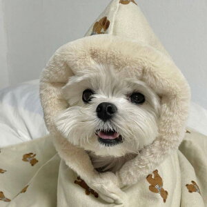 g }g ΍  ѕz  ^  L L h   N}}g h hbOEGA H~