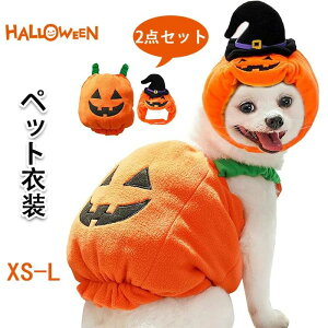  Lk  RX`[ Sn̗ǂ̂Ղ蕞A킢̖XqzX[cybgp ybg RX`[nEB -