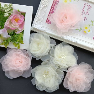 EGfB  ԃ`[t I[KW[t[`[t  nhCh | ԕ I[KW[Ԃтp[c a7cm