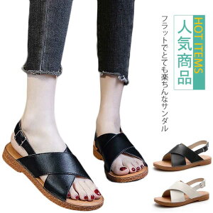 ɂ v fB[X L I[vgD l Vv RtH[g RtH[gT_ Xgbv ɂ