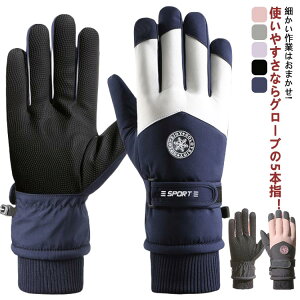 EC^[X|[cp  h Xm[{[hO[u 5{w h Xm[{[h Y ~  fB[X