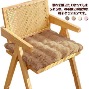 S n p ֎qp tFCNt@[ ֎qNbV 45*45cm `FApbh V[gNbV NbV ӂӂ 