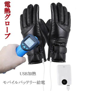  ނ oCN ]  M h  Ci[O[u dM dM q[^[ USBd q[^[O[u