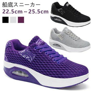 D EH[LOV[Y ̊ Xj[J[ ɂ O[ i[XV[Y _CGbgV[Y Xj[J[  C y