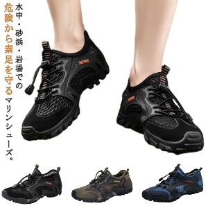 g[ Vm[PO  V[Y y r[`T_ ANAV[Y T_ p Xj[J[ EH[^[V[Y