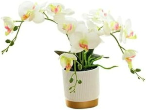 ԕrt lHϗtA CeA tFCNO[  G} 蕨 EGfBO  v[g CeAO