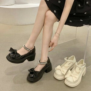 A 5cmq[ [^C ChC RXvC wC ʊw PU 22.5cm`25cm V[Y NVJ gAbv C Gi