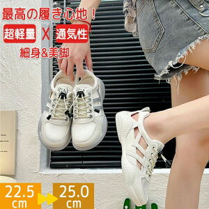 ΂ Ȃ ʋC ɂ fB[X jOV[Y X|[cV[Y WMOV[Y EH[LOV[Y