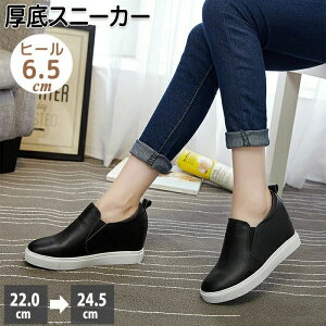 JWA JWA i ʋC U[ r 6.5cm Cq[Xj[J[ Xj[J[  Xj[J[C\[