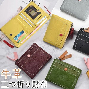 t@Xi[|Pbgt z J[hP[X D z e RCP[X J[hP[X v 2܂z fB[X