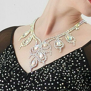 Ќ_XpANZT[ ANZT[ eߑp o ^S c V[Cxg  S[WX i lbNX