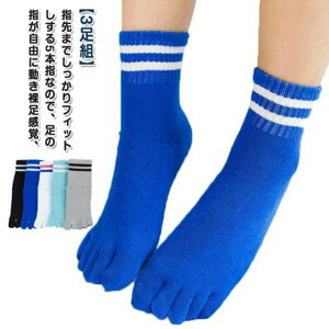 g  {[_[ 5{w WjA X|[c\bNX ̎q j̎q  V[g\bNX LbY qpܖ{w\bNX C