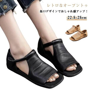  ɂ L RtH[gT_ ItBXT_ ~ r ʋC K fB[X ؂ T_ T_