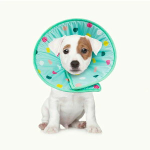  rߖh~ ی p 畆a y ȃfUC \ }WbNe[v Ȏ \gȑf L  ʕ