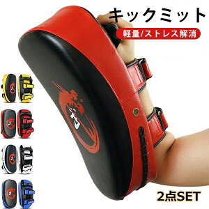 打 練習用ミット キックボクシング ボクシング 格闘技 軽量 2個セット パンチミット 衝撃を吸収 ミット 空手 キックミット 本格