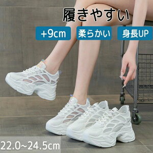  ؍ C 킢 ꂢ C gAbv 9cm V[NbgV[Y X|[cV[Y bVXj[J[ fB[X