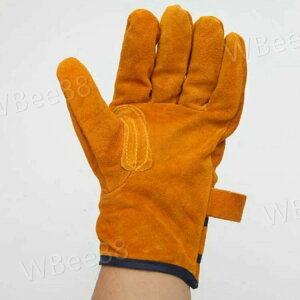 I ϔM {v 45cm AEghA Lvpi  h v LvO[u Lv ϔM ϔMO[u