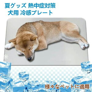 N[}b {[h ⊴}bg N[V[g ėp MǑ΍ pObY 􂦂 p  ⊴v[g Ђv[g p L