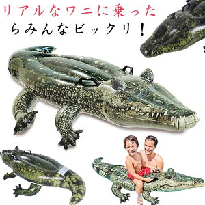   t[g NR_C LbY WjA ][g rj[{[g k ǂ qp j qp C q v[ 