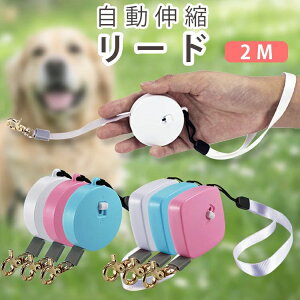 Xgbv ω׏d5kg Lk ^p RpNg[h Pi y ybg[h q 2m Lk  ybg ^ [h