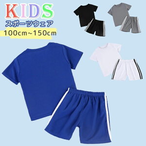 V[gp WjA EFA  z ㉺Zbg  TVc q XgCv ̎q j̎q ZbgAbv X|[cEFA