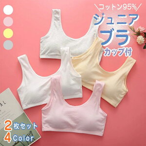 C u K[ ̎q q WjA L~\[ WjAuW[Xgb` WjACi[ Jbvt WjAu