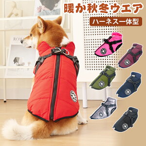 wJ WPbg n[lXt_E g ~ H  h h ۉ n[lXt hbOEFA  ̌^ n[lX