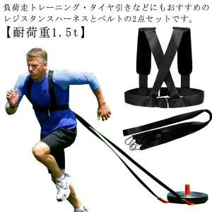 oX [XtbNn[lX ω׏d1.5t n[lX בg[jO ؃g WX^Xg[jOpn[lXxg